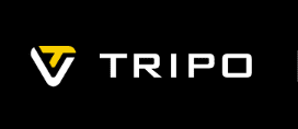 ai 3d model generation tripo 3d ai